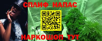 ешки Волгодонск