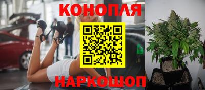крисы Абинск