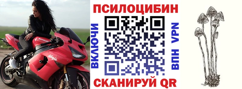 наркота  Партизанск  МЕГА как войти  Галлюциногенные грибы прущие грибы 