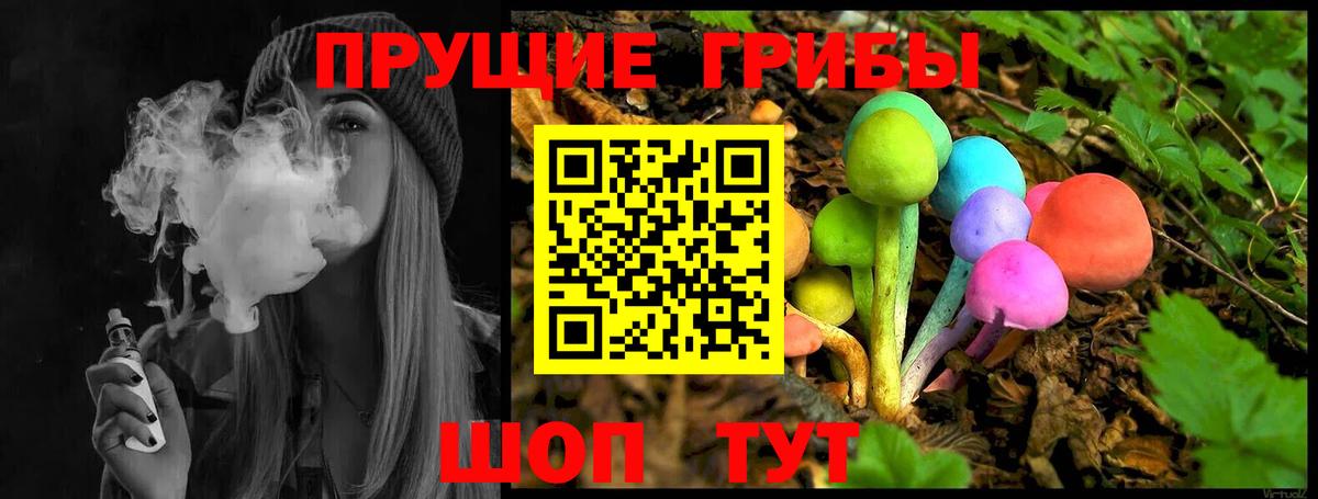 Псилоцибиновые грибы прущие грибы Партизанск